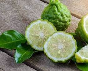 Bergamot antioxidants image