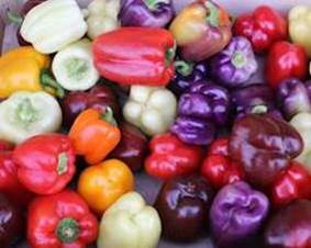 Different colored bell peppers resmi