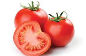 Tomato picture