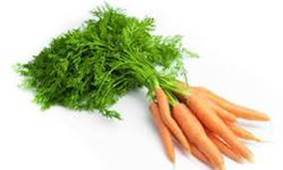 Carrot picture