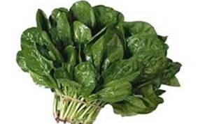 Spinach picture