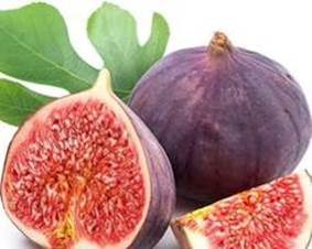 Fig picture