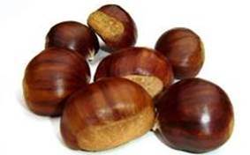 Chestnut picture