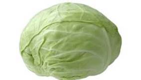 Cabbage picture