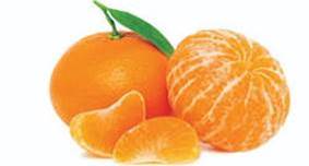 Tangerine picture