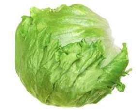 Lettuce varieties picture