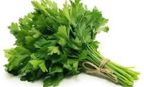 Parsley picture