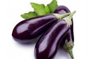 Eggplant picture