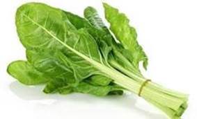 Picture of chard