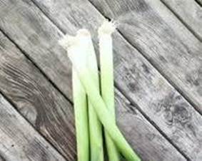 Leek picture