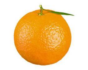 Orange picture